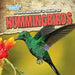 A Bird Watcher's Guide to Hummingbirds by Aife Arnim