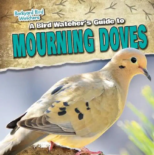 A Bird Watcher's Guide to Mourning Doves by Aife Arnim