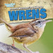 A Bird Watcher's Guide to Wrens by Grace Elora