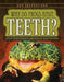 Why Do Frogs Have Teeth?: And Other Curious Amphibian Adaptations by Patricia Fletcher