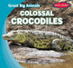 Colossal Crocodiles by Francis Macintire