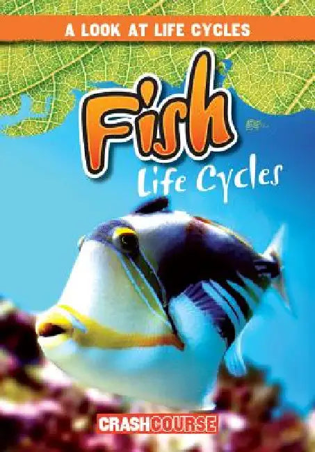 Fish Life Cycles by Bray Jacobson