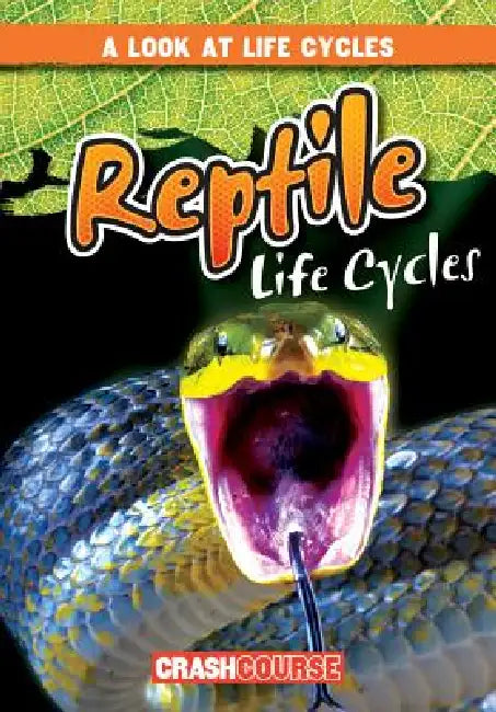 Reptile Life Cycles by Bray Jacobson