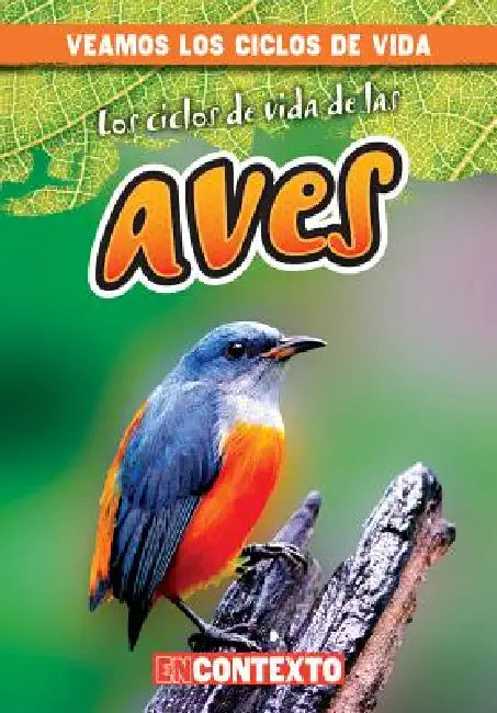 Los Ciclos de Vida de Las Aves (Bird Life Cycles) by Bray Jacobson, Alberto Jiménez