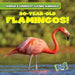 80-Year-Old Flamingos! by Joni Kelly