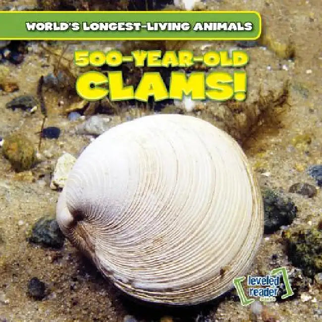 500-Year-Old Clams! by Joni Kelly