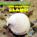 500-Year-Old Clams! by Joni Kelly