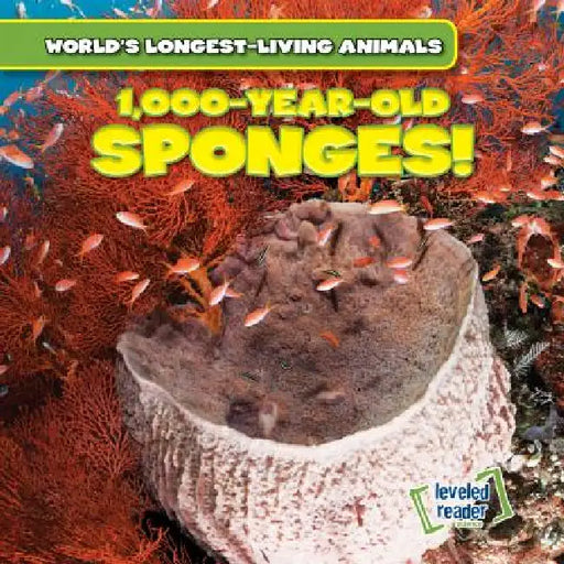 1,000-Year-Old Sponges! by Joni Kelly