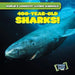 400-Year-Old Sharks! by Joni Kelly