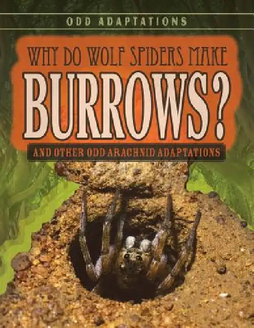 Why Do Wolf Spiders Make Burrows?: And Other Odd Arachnid Adaptations by Meghan Sharif