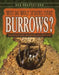 Why Do Wolf Spiders Make Burrows?: And Other Odd Arachnid Adaptations by Meghan Sharif