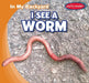 I See a Worm by Agatha Gregson