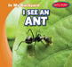 I See an Ant by Agatha Gregson