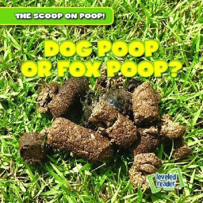 Dog Poop or Fox Poop? by George Fittleworth