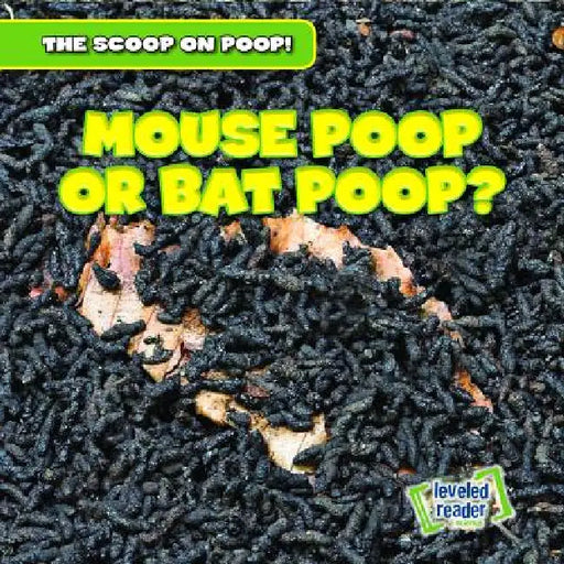 Mouse Poop or Bat Poop? by George Fittleworth