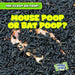 Mouse Poop or Bat Poop? by George Fittleworth