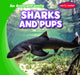 Sharks and Pups by Natalie K. Humphrey
