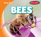 Bees by Bray Jacobson