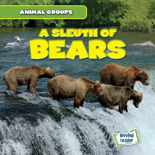 A Sleuth of Bears by Seth Lynch