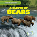 A Sleuth of Bears by Seth Lynch