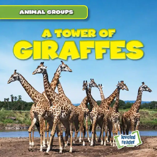 A Tower of Giraffes by Seth Lynch
