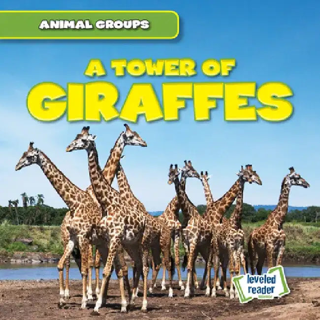 A Tower of Giraffes by Seth Lynch