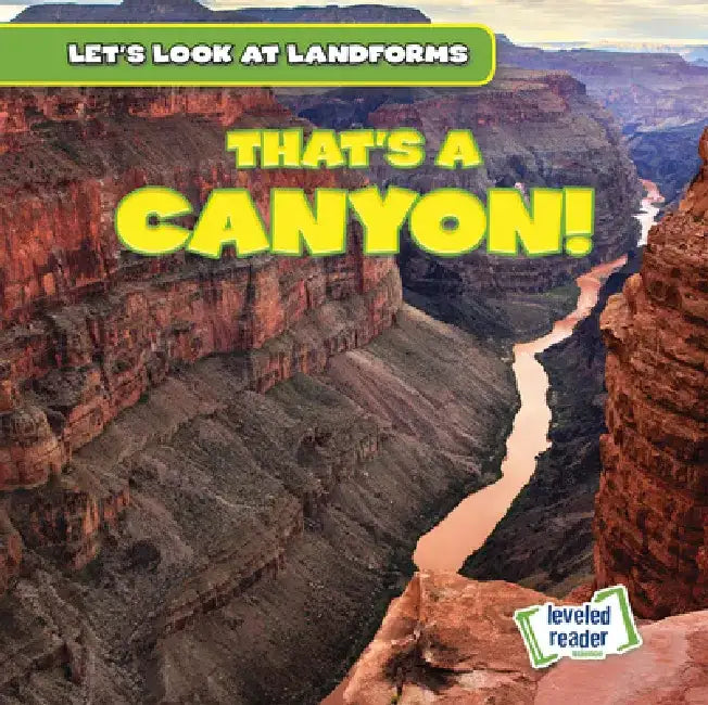 That's a Canyon! by Dwayne Hicks