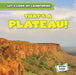 That's a Plateau! by Dwayne Hicks