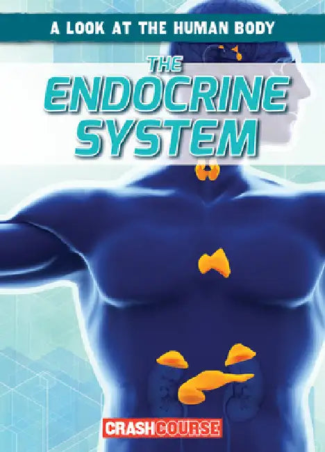 The Endocrine System by Jonas Edwards