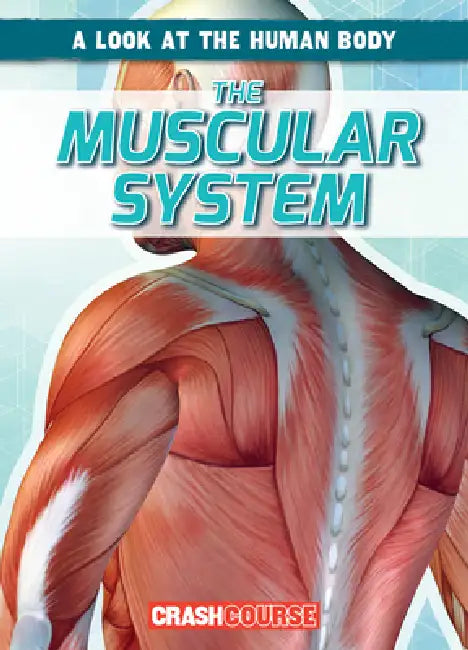 The Muscular System by Jonas Edwards