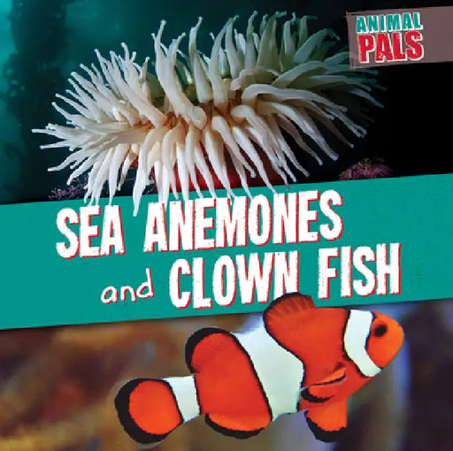 Sea Anemones and Clown Fish by Janey Levy