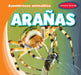 Arañas (Spiders) by Bray Jacobson