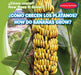 ¿Cómo Crecen Los Plátanos? / How Do Bananas Grow? by Kathleen Connors