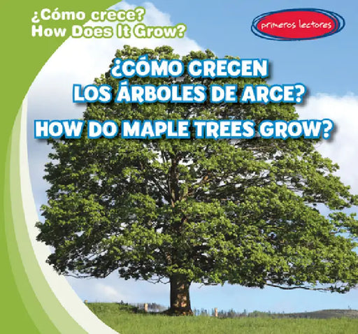 ¿Cómo Crecen Los Árboles de Arce? / How Do Maple Trees Grow? by Kathleen Connors