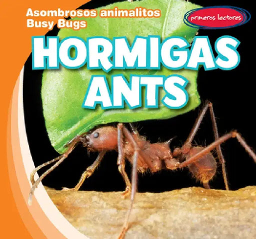 Hormigas / Ants by Bray Jacobson