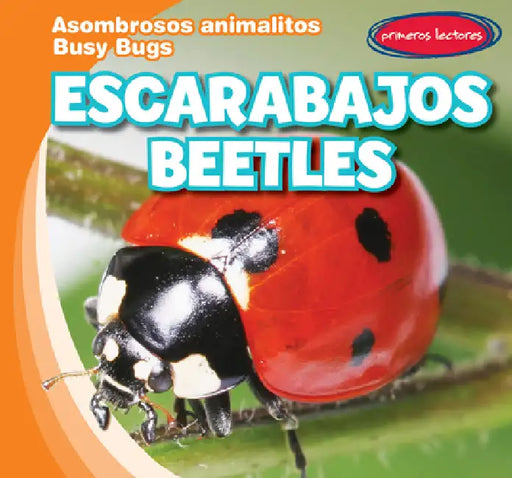 Escarabajos / Beetles by Bray Jacobson