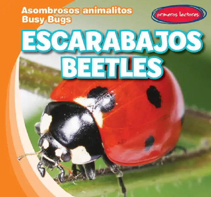 Escarabajos / Beetles by Bray Jacobson