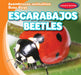 Escarabajos / Beetles by Bray Jacobson
