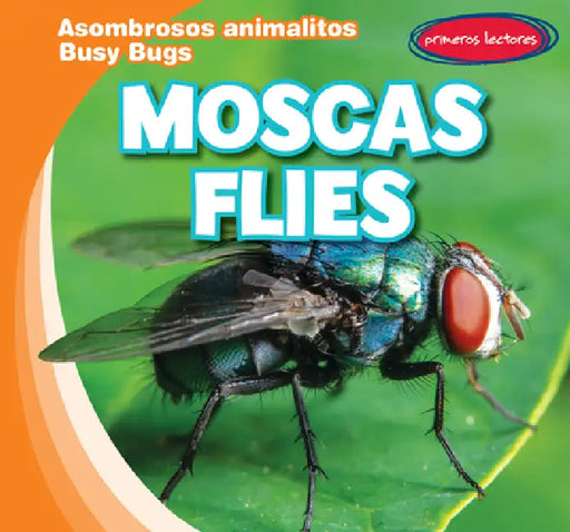 Moscas / Flies by Bray Jacobson