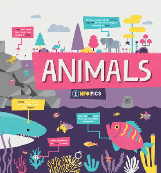 Animals by Harriet Brundle
