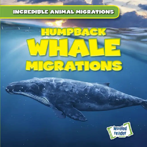 Humpback Whale Migrations by Anna McDougal