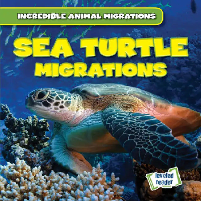 Sea Turtle Migrations by Anna McDougal