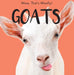 Goats by Beth Gottlieb