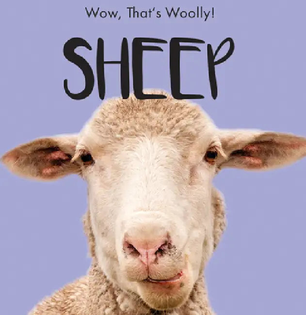 Sheep by Beth Gottlieb