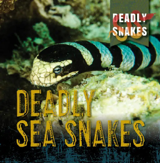 Deadly Sea Snakes by Monika Davies