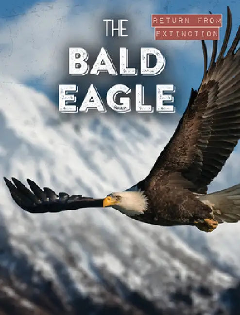 The Bald Eagle by Leonard Clasky