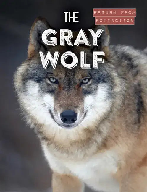 The Gray Wolf by Leonard Clasky