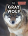 The Gray Wolf by Leonard Clasky