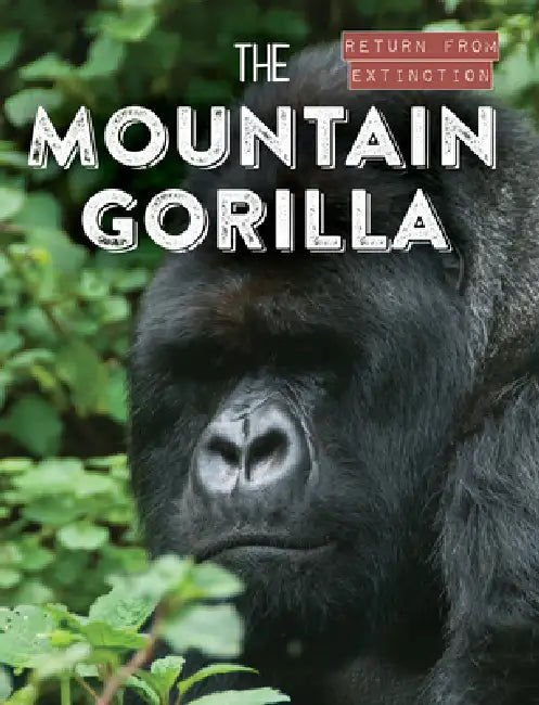 The Mountain Gorilla by Leonard Clasky