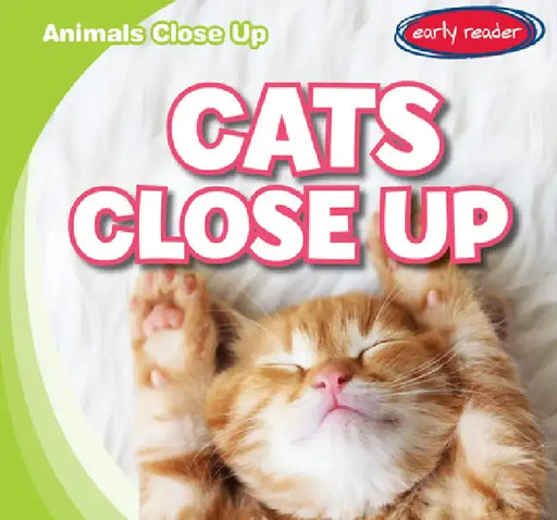 Cats Close Up by Seth Lynch